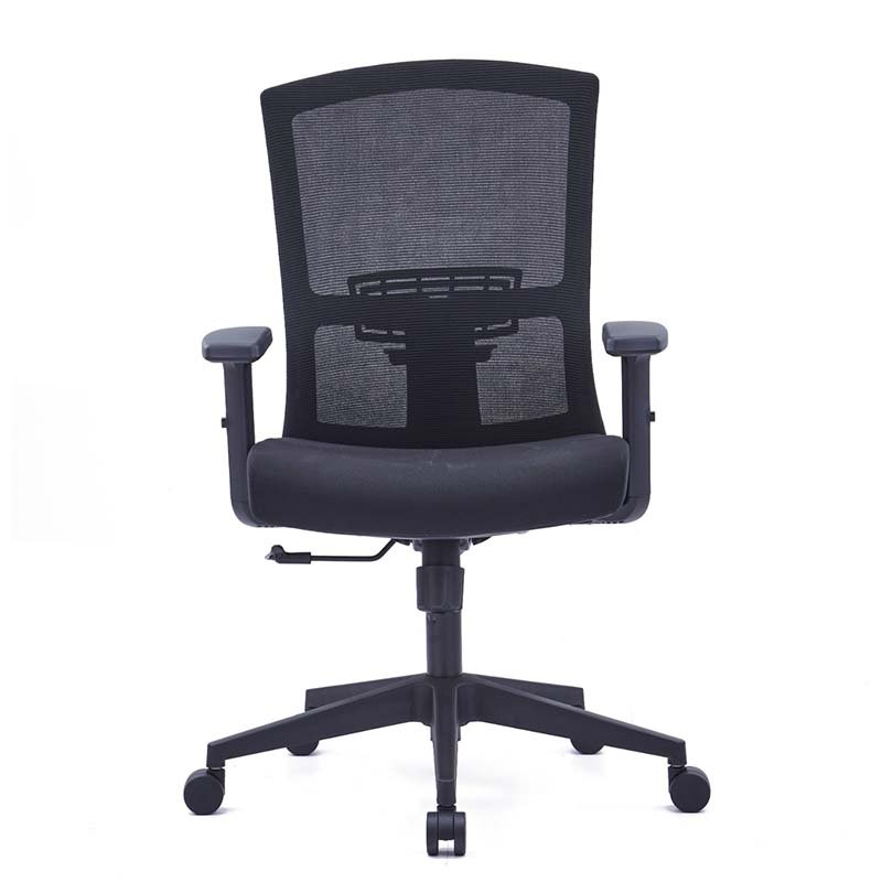 Ethan Black Medium Back Office Chair