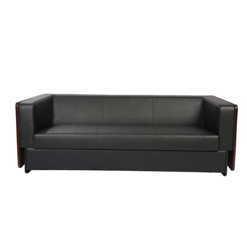 Raylon Executive Office Sofa Set1