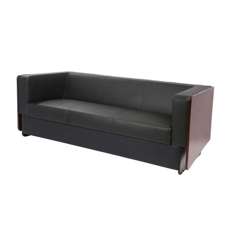 Raylon Executive Office Sofa Set2
