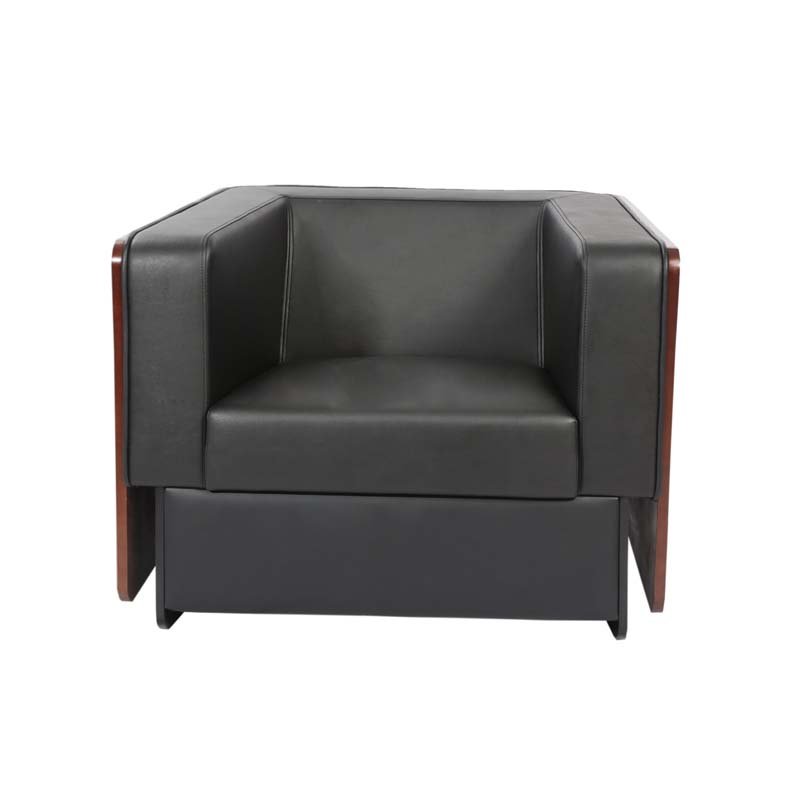 Raylon Executive Office Sofa Set4